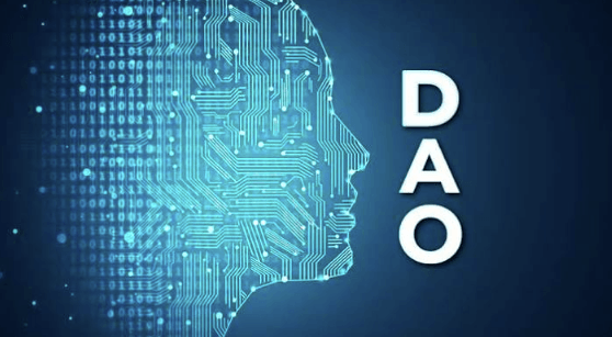 How Decentralized Autonomous Organizations Work